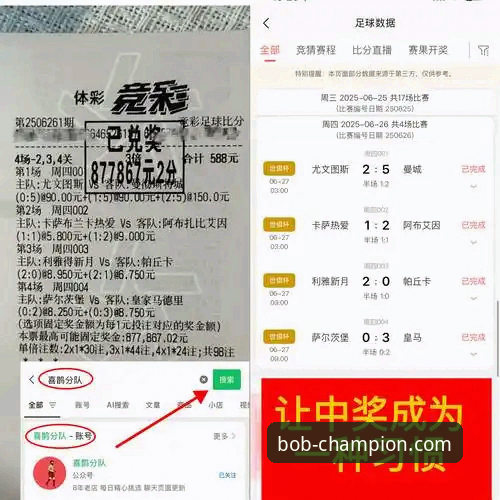 半岛体育官网深度分析：从下载到观赛的全面解析与实用指南